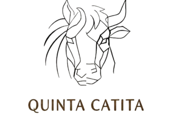 hotel-almeida-quinta-catita-portugal_